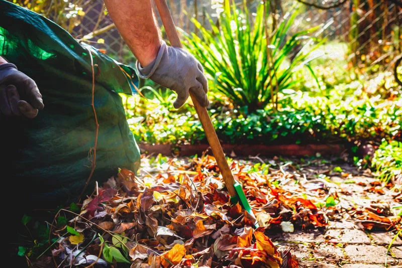 Seasonal Lawn Care Tips for the Inland Northwest, Spring Edition